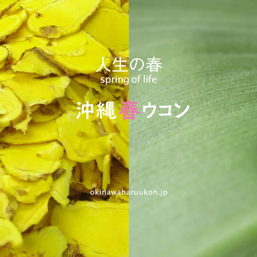 Project:JAPANブランド支援事業 page link